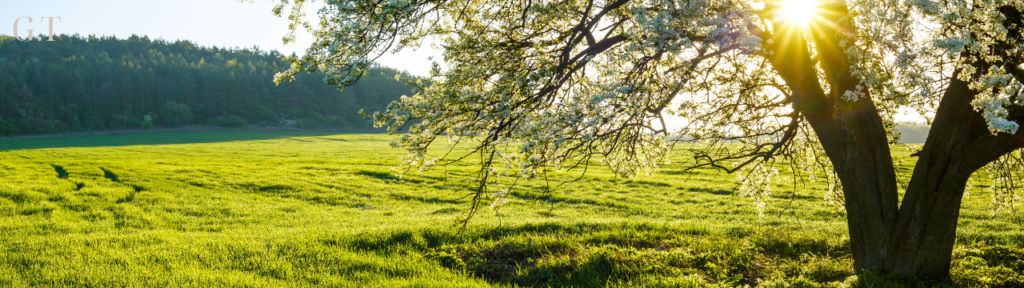 photo pour les conseils de naturopathie de printemps